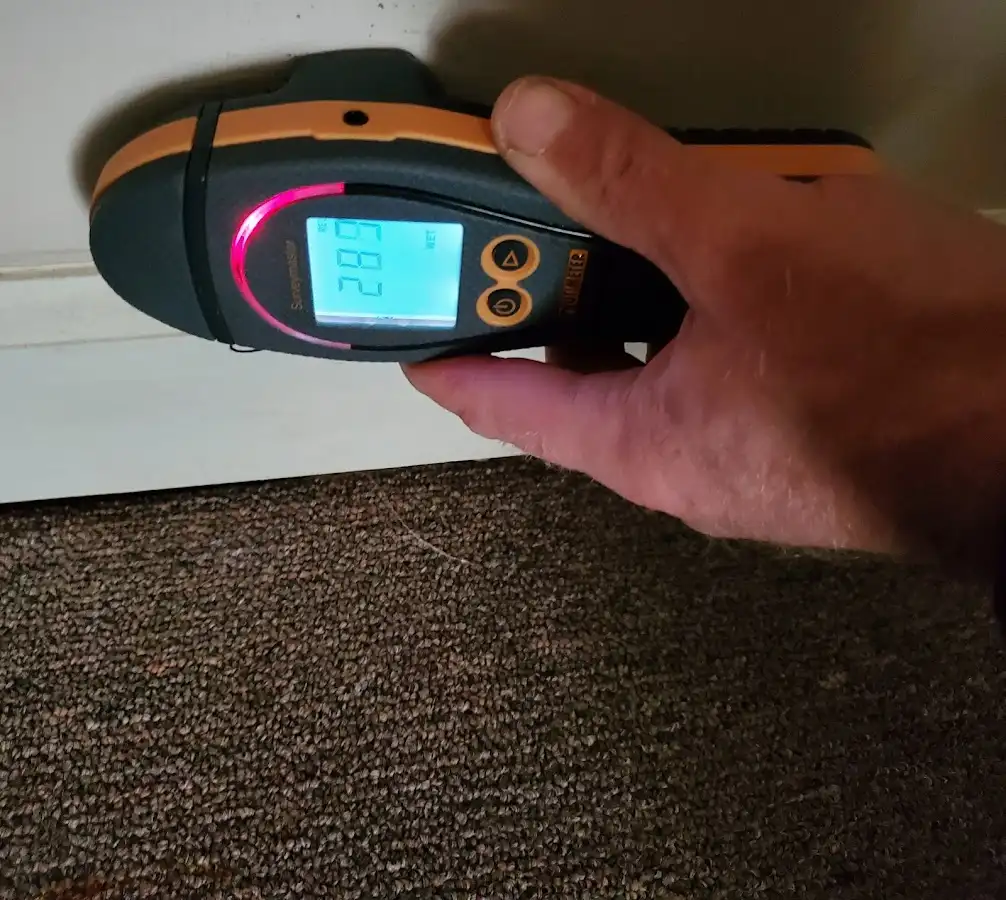 Moisture detection at baseboard during Mold Inspection & Testing in Princeton